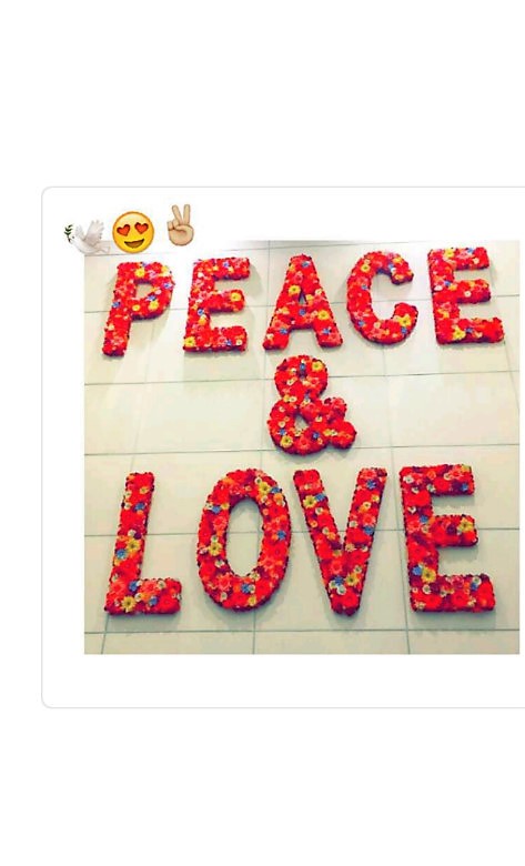 bandicam 2017-05-05 00-00-04-150