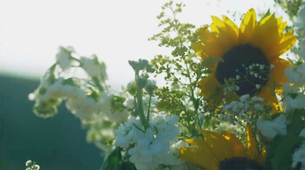 bandicam 2017-06-01 13-01-09-563