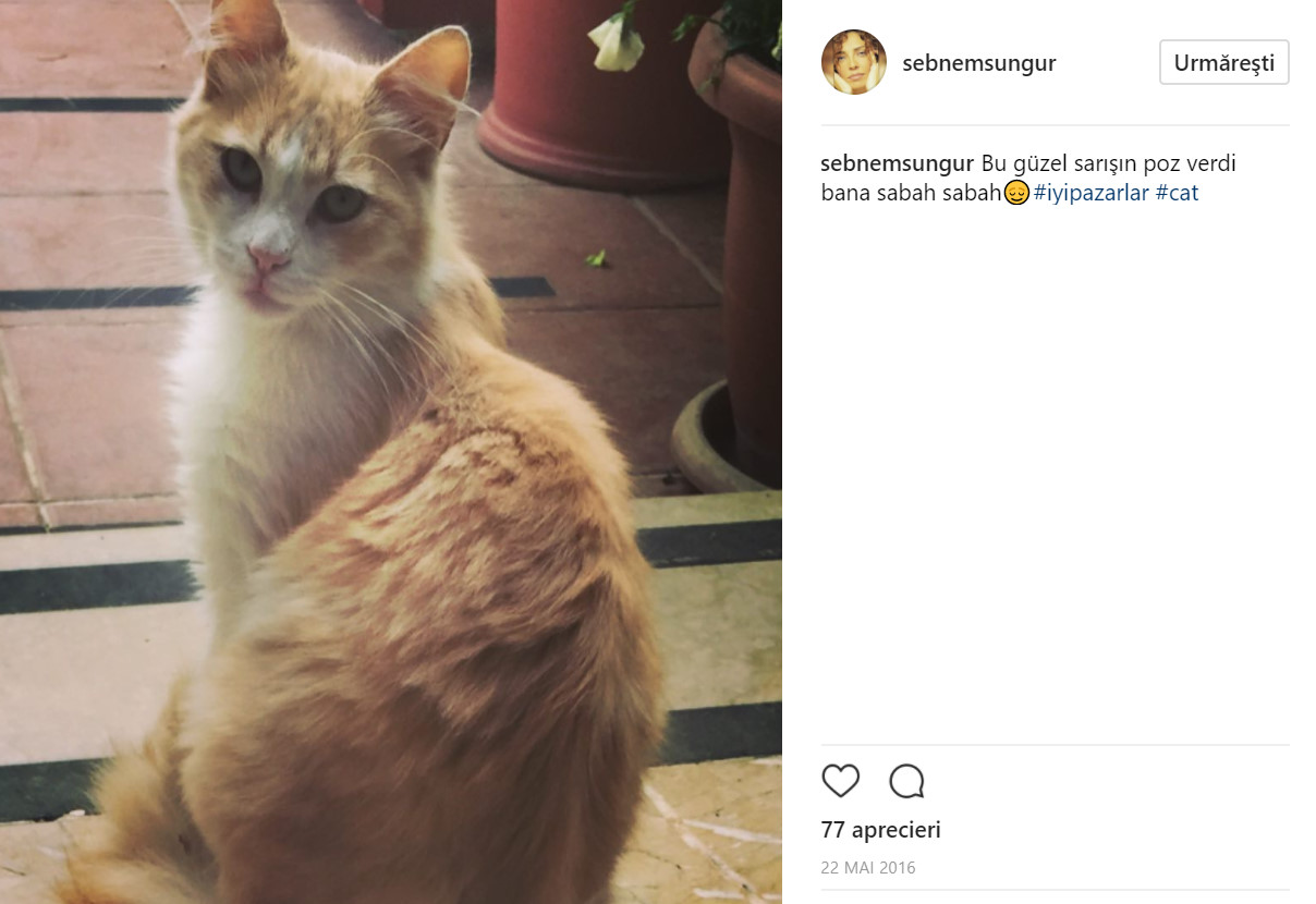 bandicam 2017-07-04 09-16-58-167.jpg