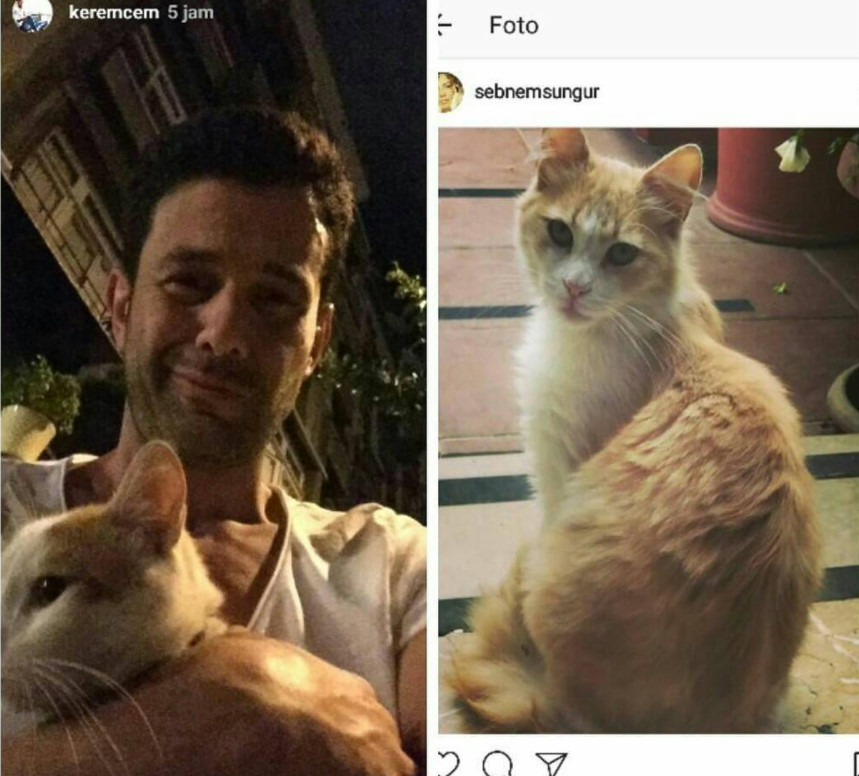 bandicam 2017-07-04 09-26-58-584