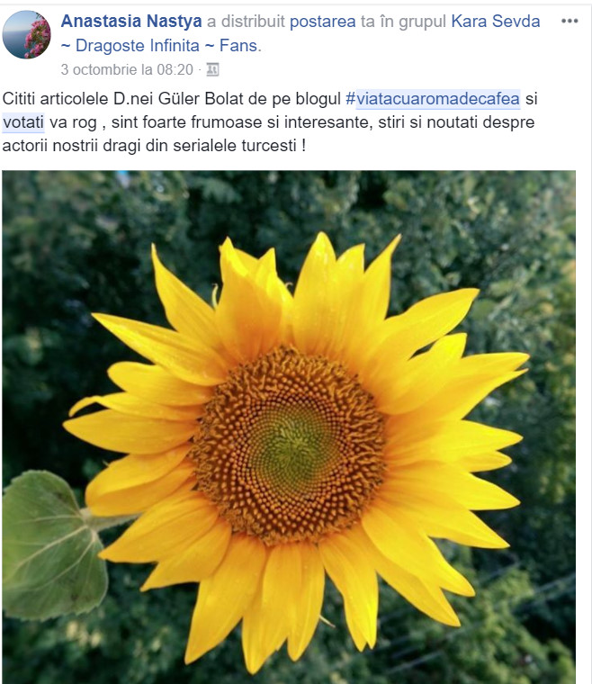 bandicam 2017-10-29 15-52-30-068