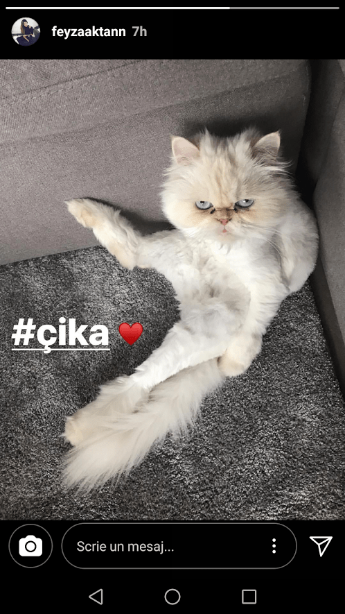 cika