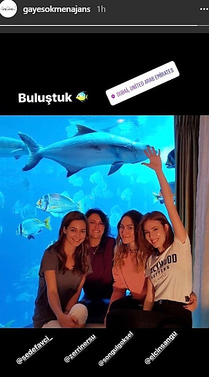 bandicam 2018-01-12 11-23-11-111.jpg