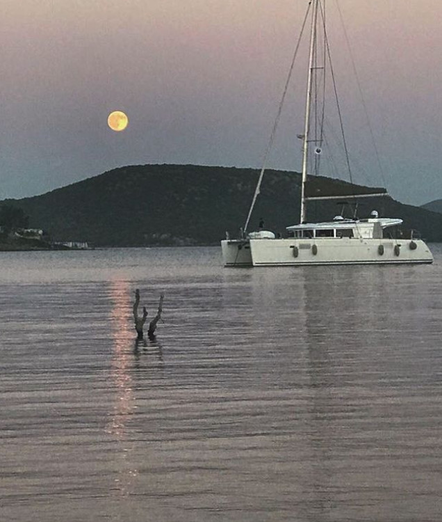 bandicam 2018-04-08 17-10-59-338