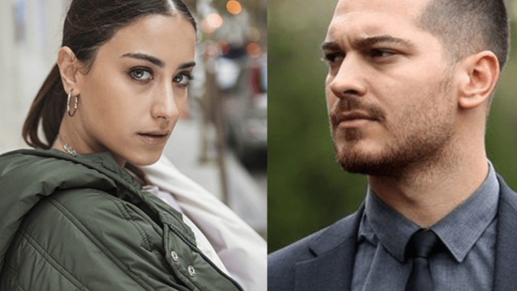 Îi vom vedea la Hollywood?