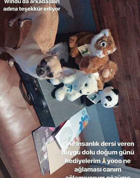 bandicam 2018-08-13 22-27-56-180.jpg