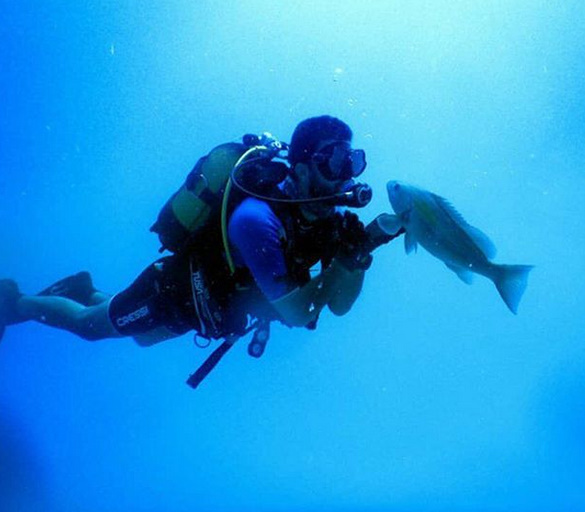 bandicam 2018-09-27 17-14-55-593