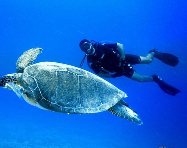 bandicam 2018-09-27 17-15-30-062