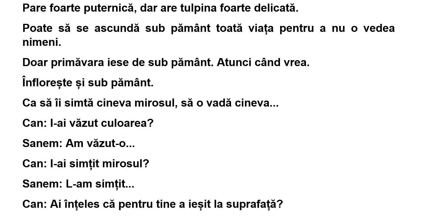 bandicam 2018-11-25 01-09-24-903