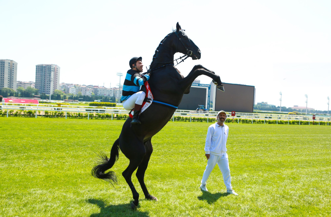 bandicam 2018-11-25 14-10-42-488