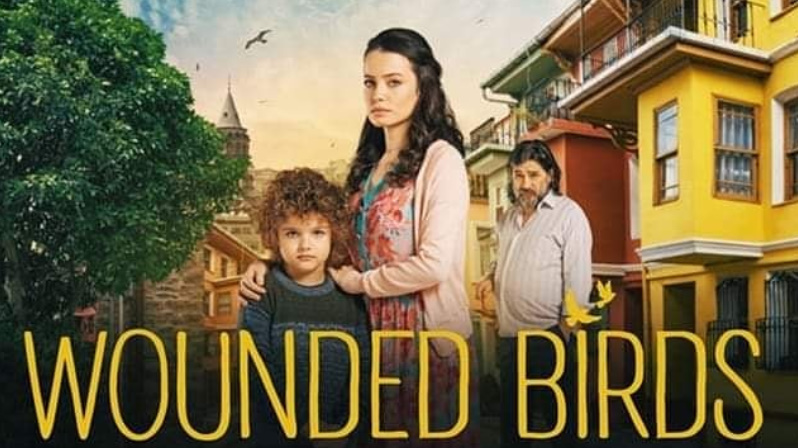 bandicam 2019-02-06 19-10-57-026.jpg