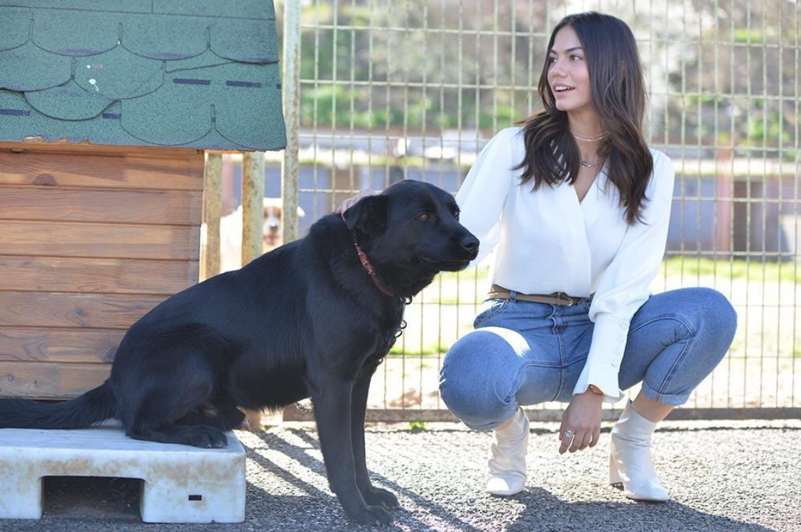 bandicam 2019-03-21 15-26-12-622