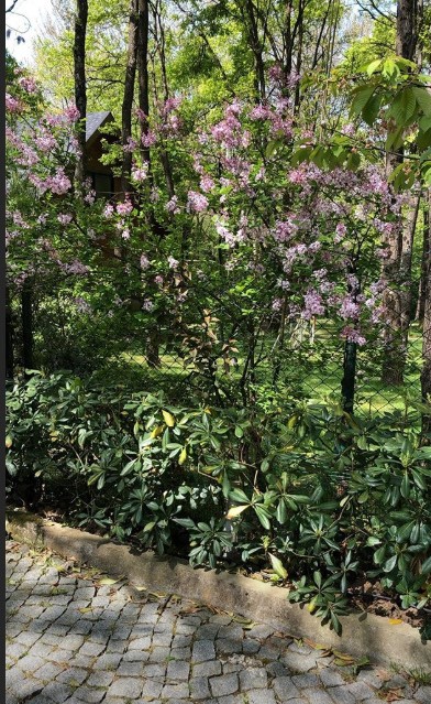 bandicam 2019-04-28 20-45-30-812