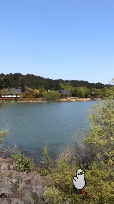 bandicam 2019-04-28 20-45-40-388