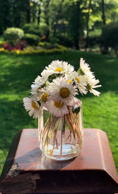 bandicam 2019-04-28 20-46-05-103