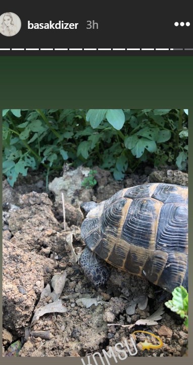 bandicam 2019-04-28 20-46-10-542