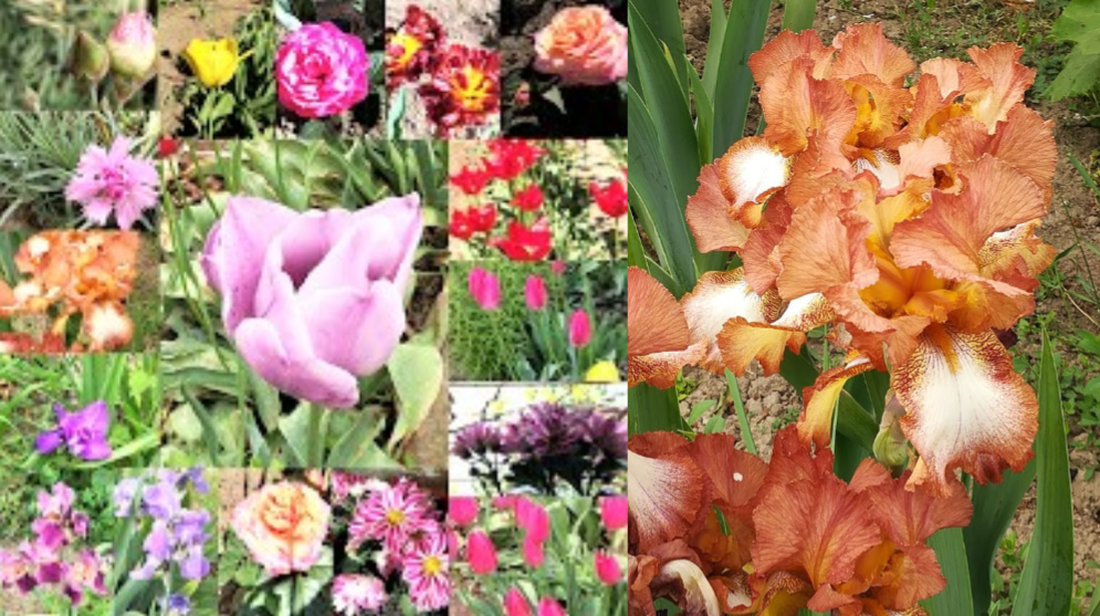 bandicam 2019-05-14 14-32-56-850.jpg