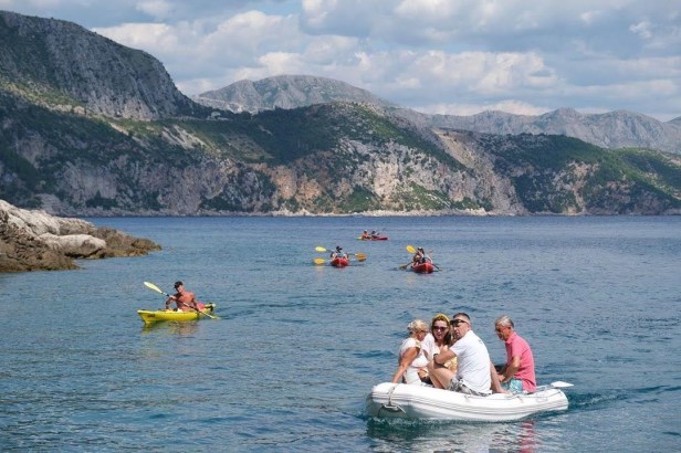 skunkkie_1565015407_2103824179551245464_245604746