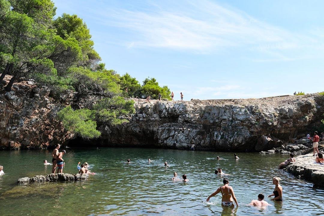 skunkkie_1565107851_2104599653453799284_245604746