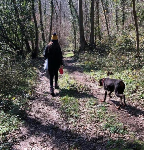 bandicam 2019-09-04 12-29-48-161