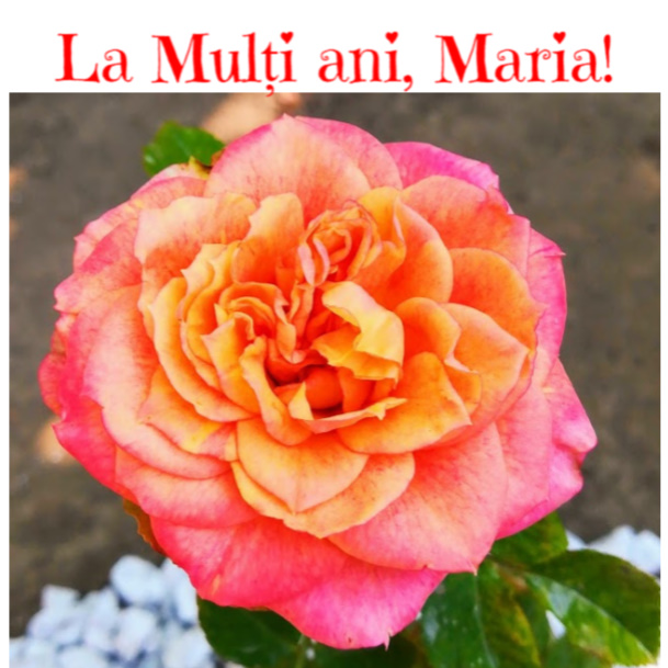 bandicam 2019-09-08 11-34-01-509.jpg