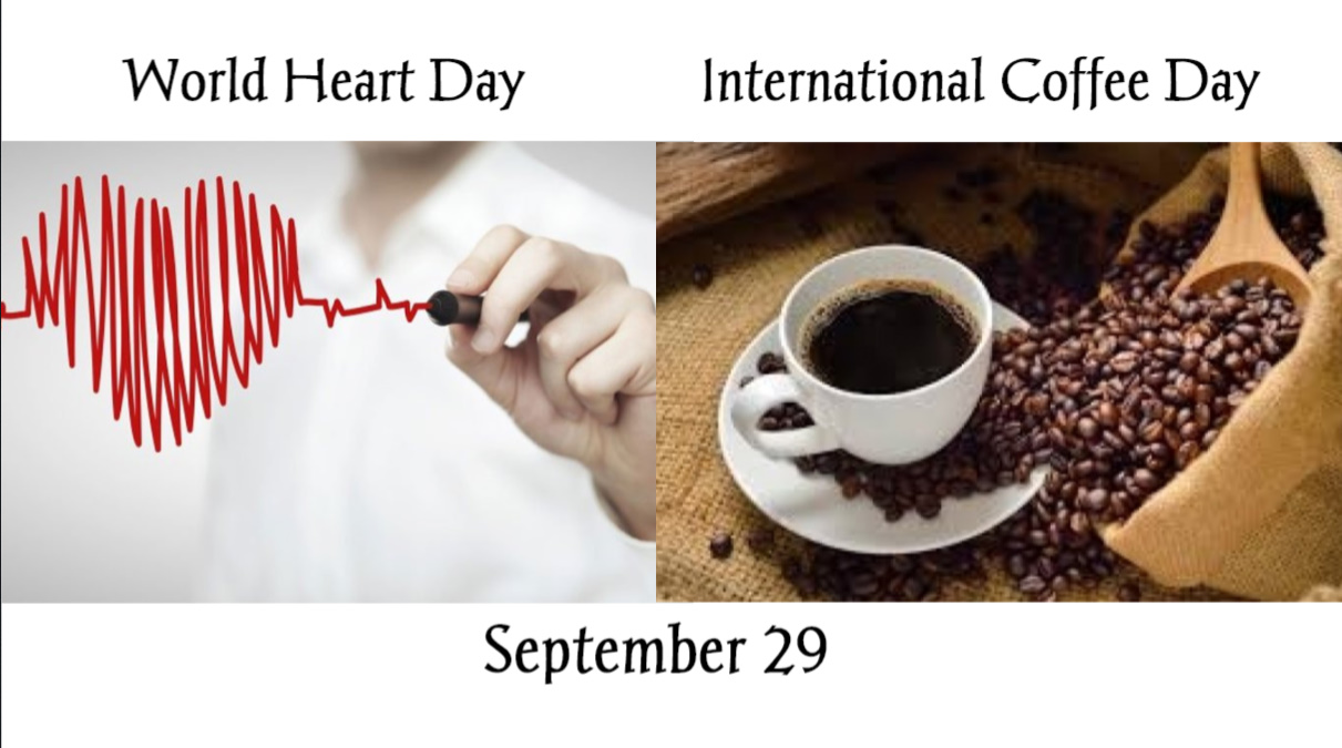 bandicam 2019-09-29 17-36-24-187.jpg