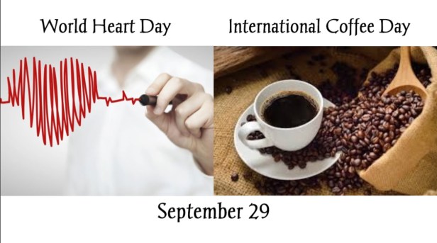 bandicam 2019-09-29 17-36-24-187.jpg