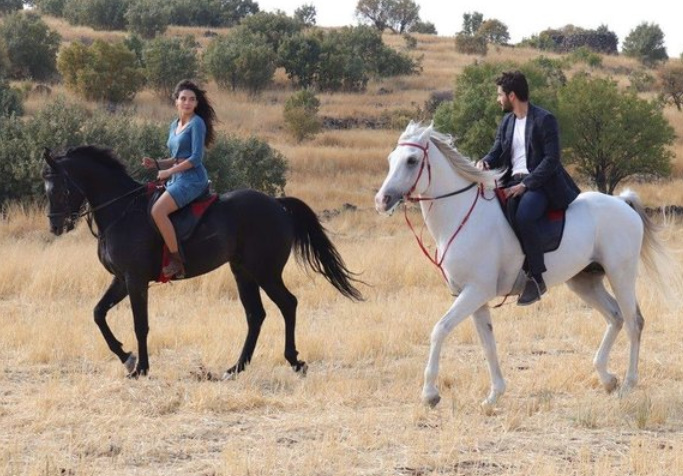 bandicam 2019-11-27 22-57-17-475