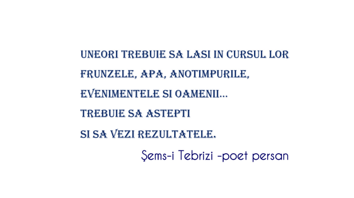 bandicam 2019-12-02 00-13-01-034.jpg