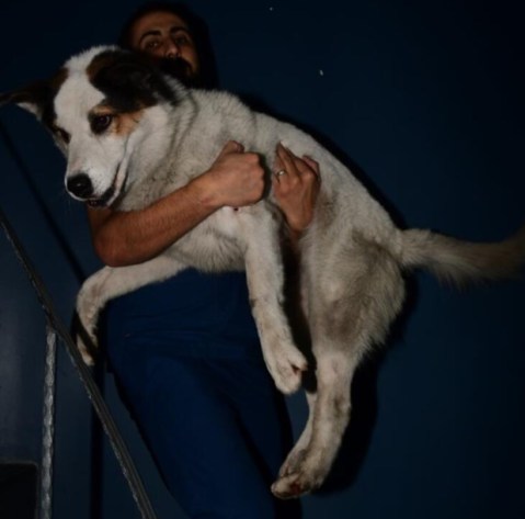 bandicam 2020-02-29 11-53-32-317