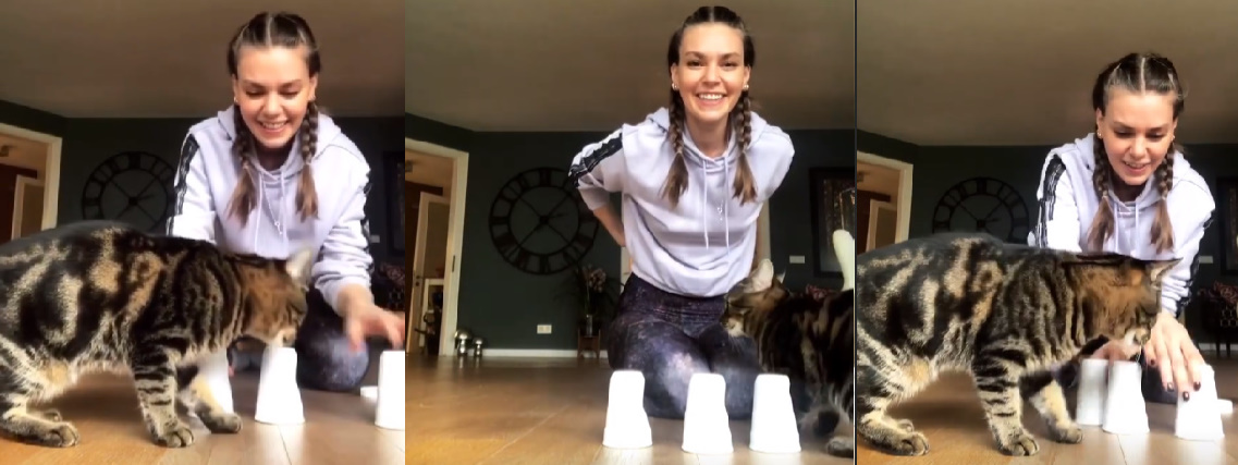 bandicam 2020-03-26 17-21-48-028