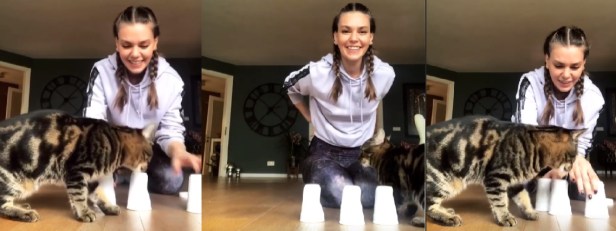 bandicam 2020-03-26 17-21-48-028