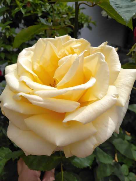 a2cac4a3-26ed-4fe5-b2b6-d2f73aa170a6