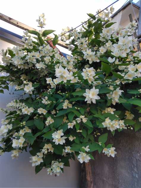 a927d9df-e961-4ff8-a8ff-670fde18905a