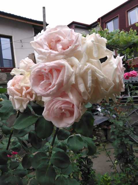 b02e0284-22a8-4594-938f-523911228454