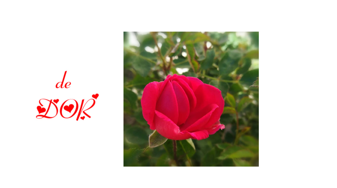 bandicam 2020-05-13 11-59-32-058