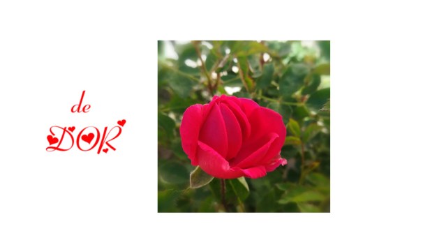 bandicam 2020-05-13 11-59-32-058