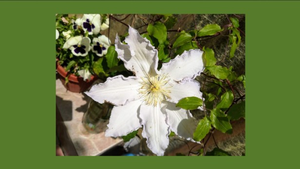 bandicam 2020-05-15 20-42-16-816