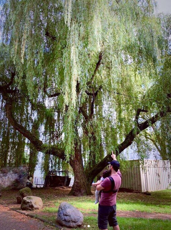 bandicam 2020-06-21 21-46-15-612