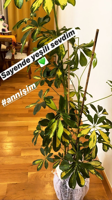 sinemunsal_1592737756_2336376108746698922_375433577