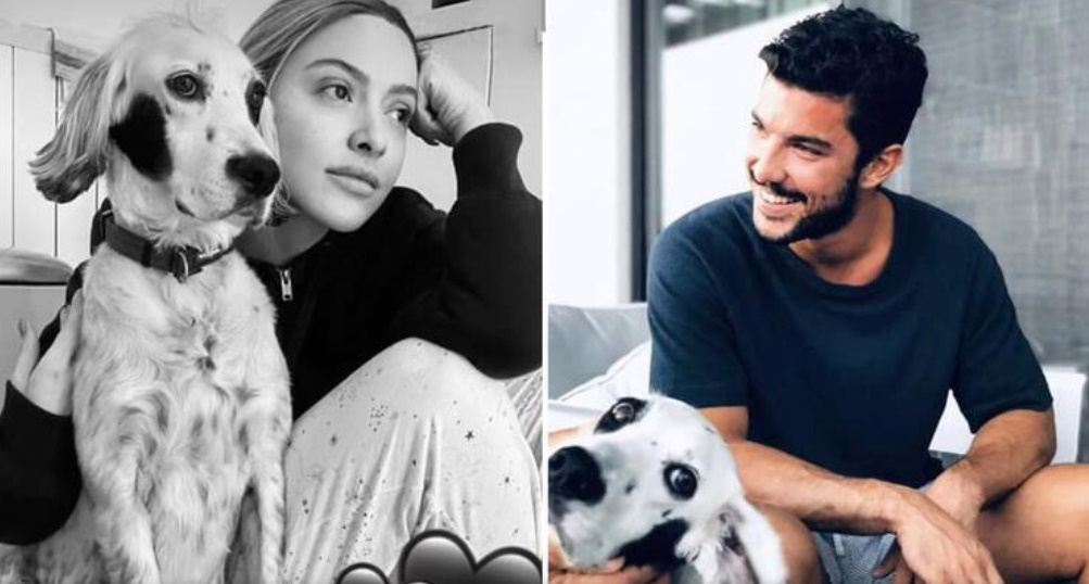 bandicam 2020-07-30 22-38-33-390