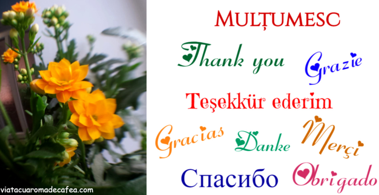 bandicam 2020-01-11 16-49-24-575.jpg